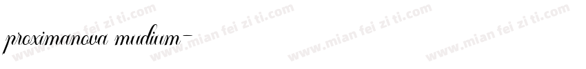 proximanova mudium字体转换